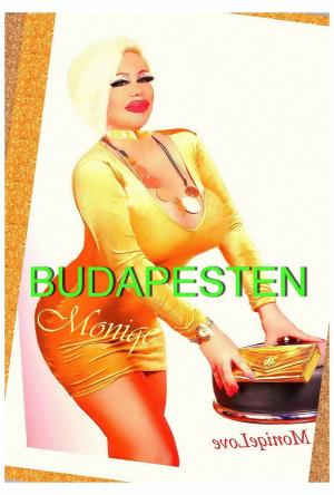 Фото проститутки Moniqe в Будапеште